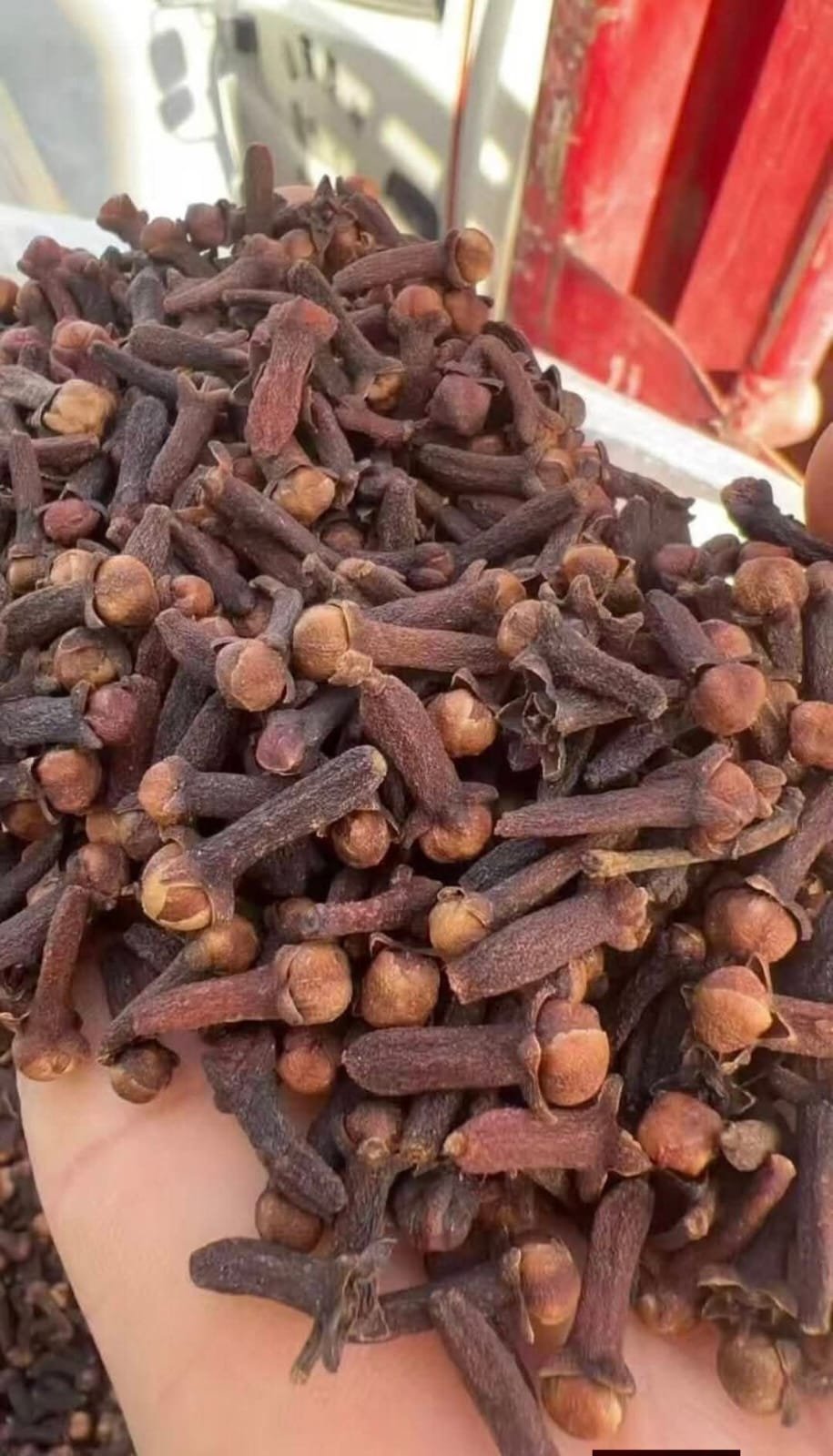 Cumin Seeds